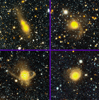 Galaxy Collisions Dominate the Local Universe.