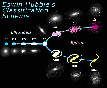 Why are Galaxies Shaped as They Are?