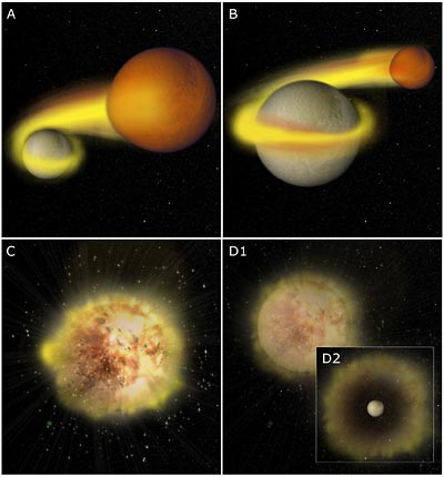 New Class of Supernovae Puts Calcium in Our Bones 