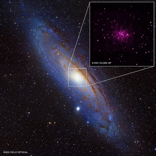NASA's Chandra Turns Up a Black Hole Bonanza in the Andromeda Galaxy
