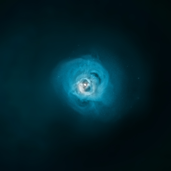 Mysterious X-ray Signal in Perseus May be the First Observed Sign of Dark Matter