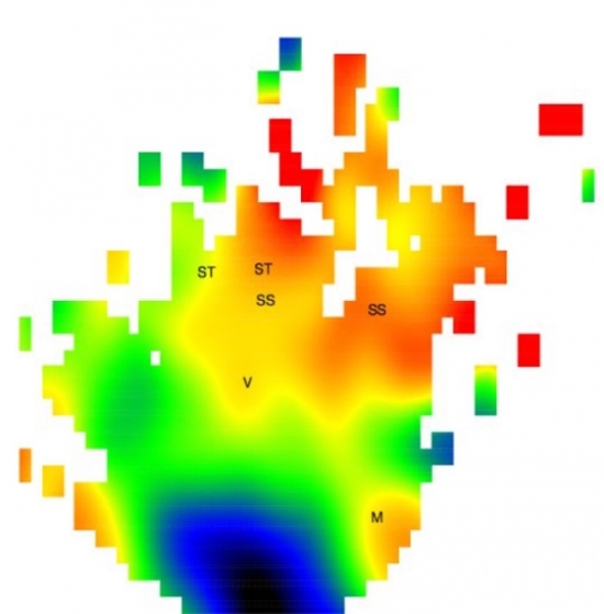 Notre Dame Astrophysicists Produce the First Age Map of the Milky Way Halo
