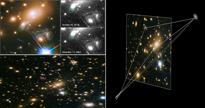 Cosmic Deja Vu -- Refsdal Supernova Reappears Exactly as Predicted