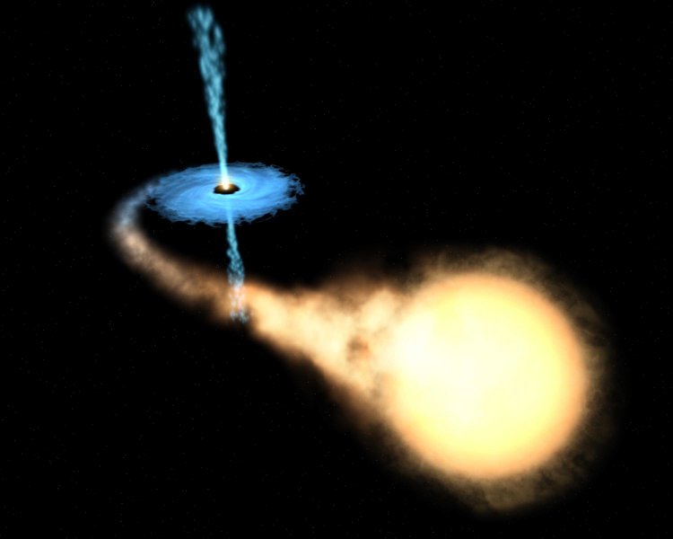 Black Holes and Neutron Stars -- The Difference is in the Event Horizon