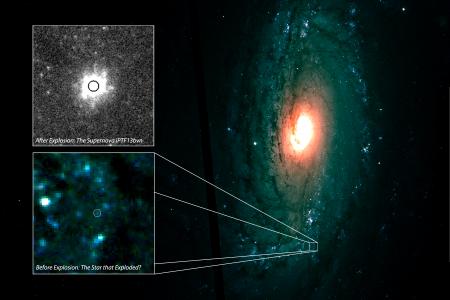 Sky Survey Captures Key Details of Cosmic Explosions