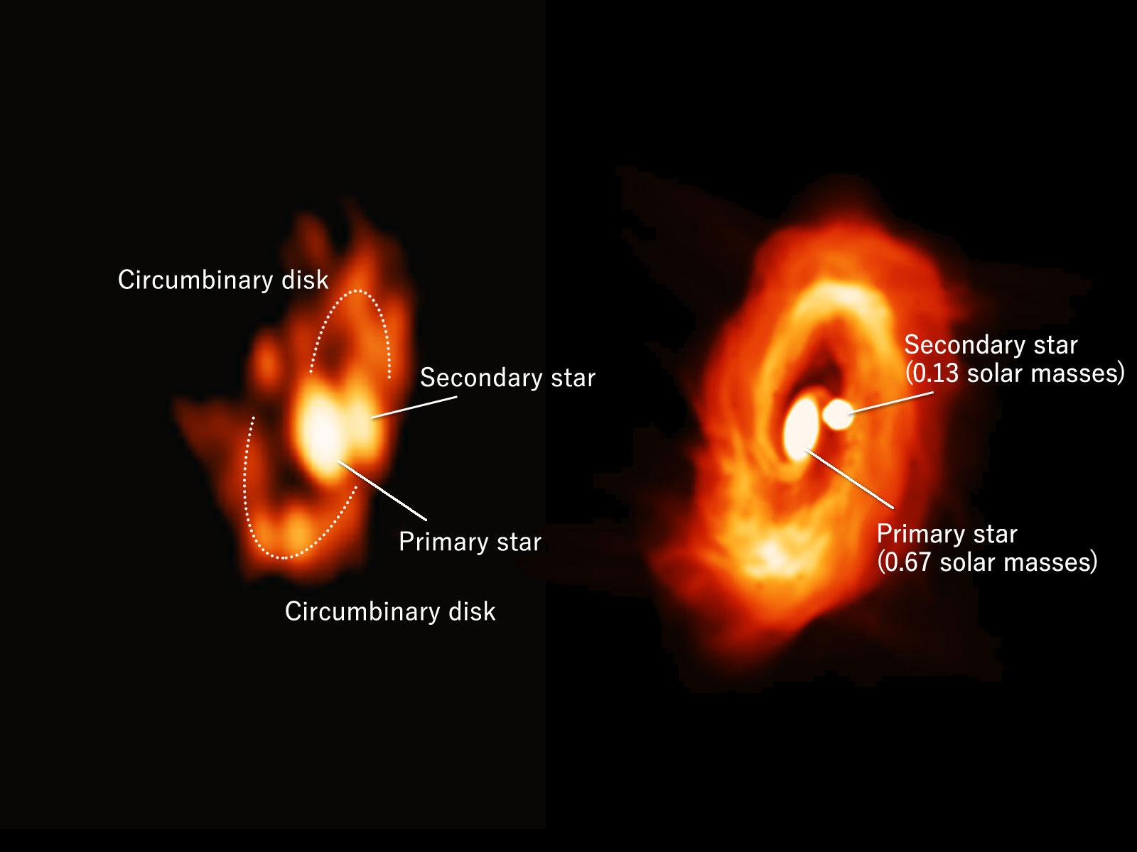 Astronomers Identify Gas Spirals as a Nursery of Twin Stars through ALMA Observation