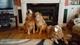 ttooley's avatar