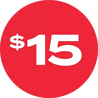 $15 For 365 Days of Access ( 4 cents per day )