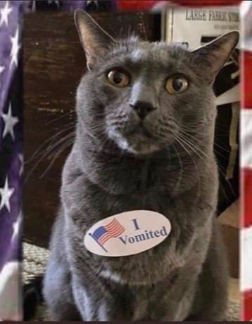 FurryAvocado's attachment for post 175983