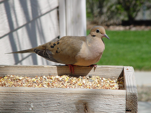 csand's attachment for post 5376