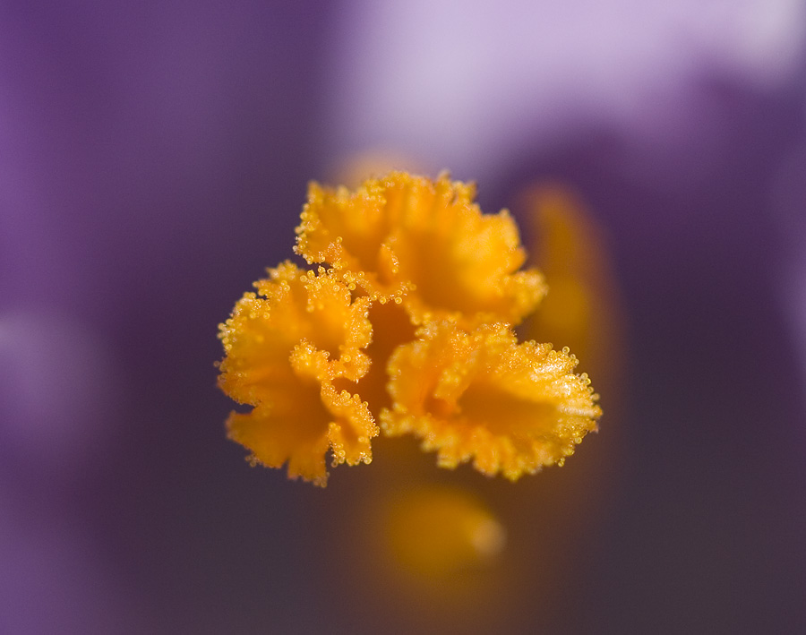 raw265's attachment for post 102641