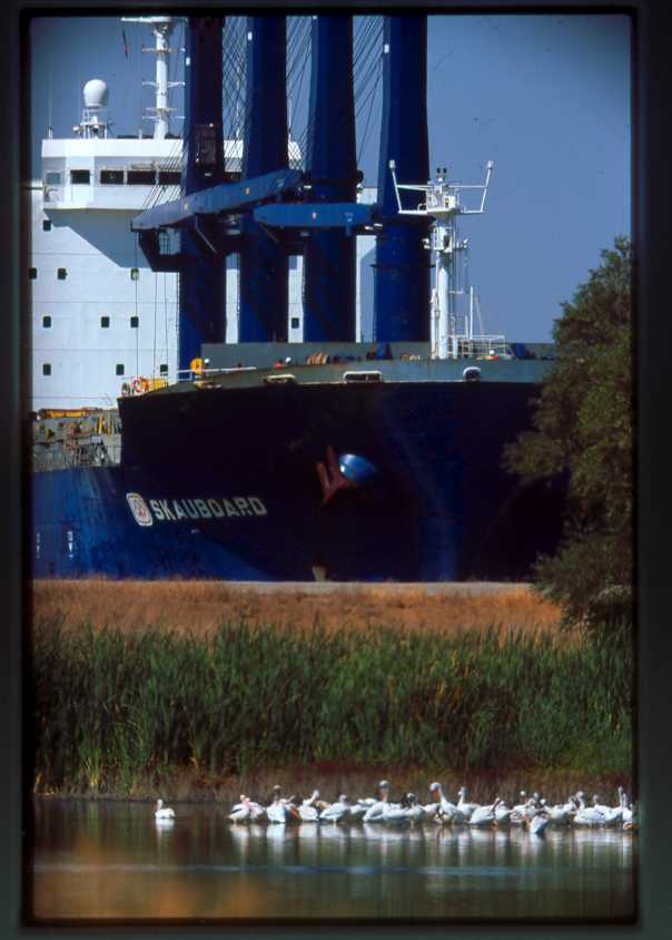 muralman1's attachment for post 5493