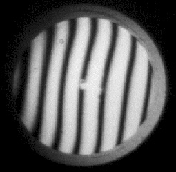 RolandC's attachment for post 133769