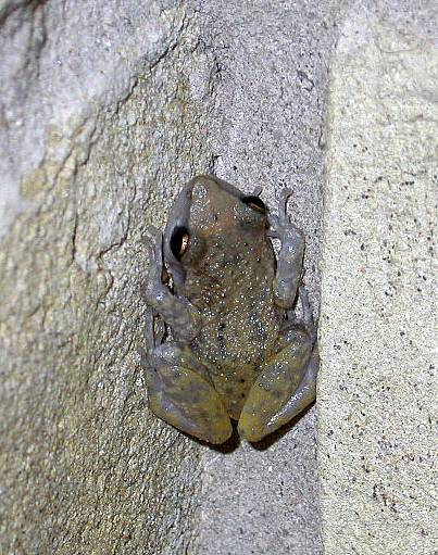 web0178230's attachment for post 16584