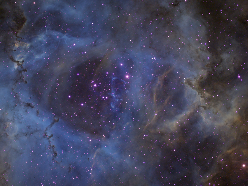 Rosette Core