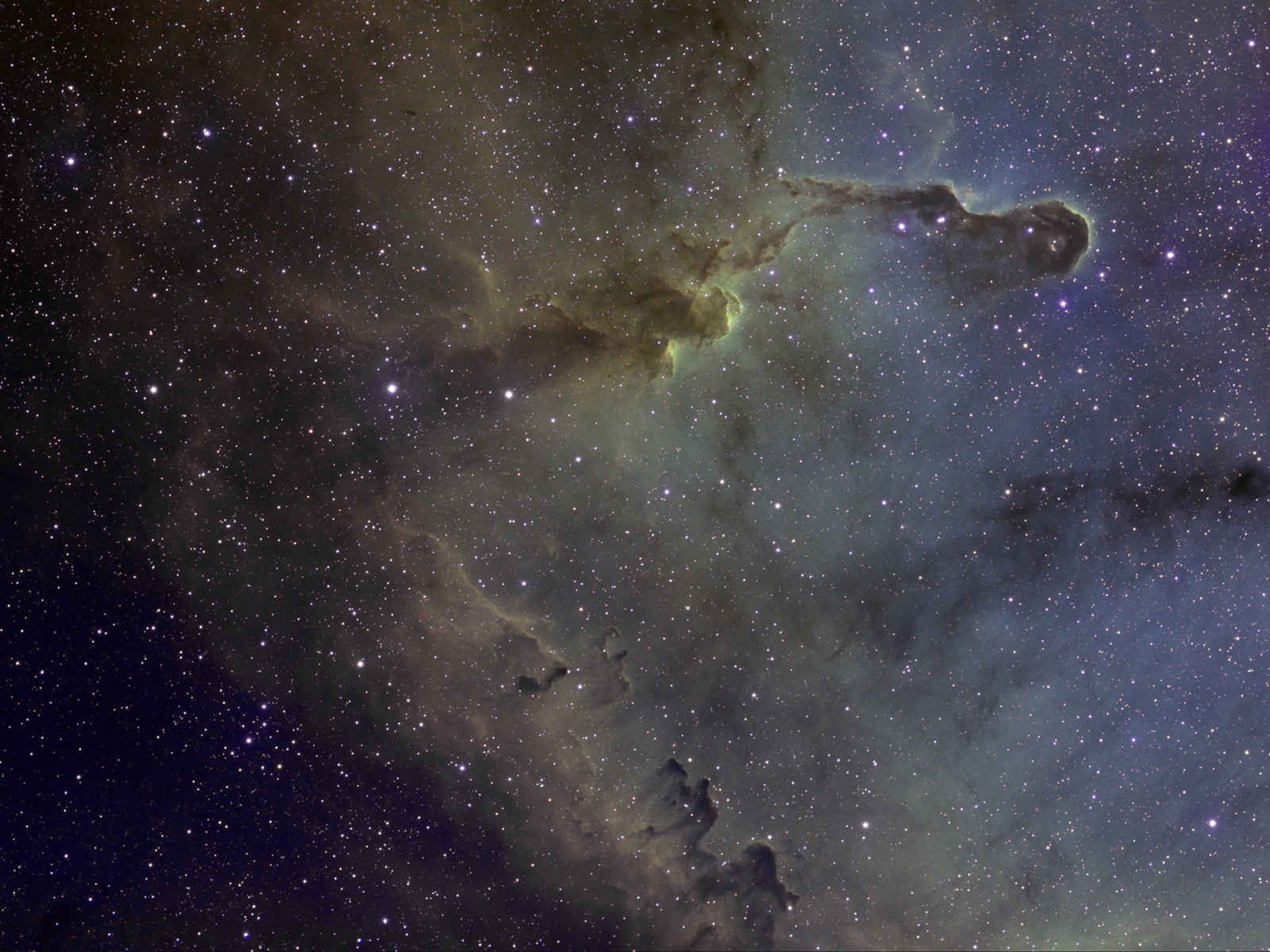 IC 1396a