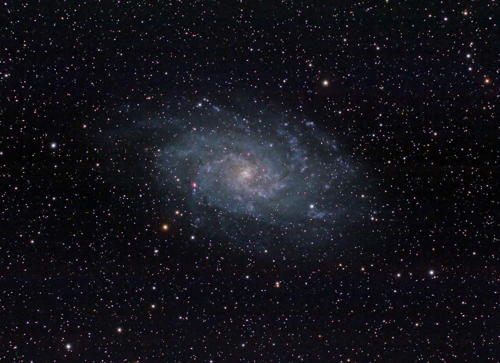 M33