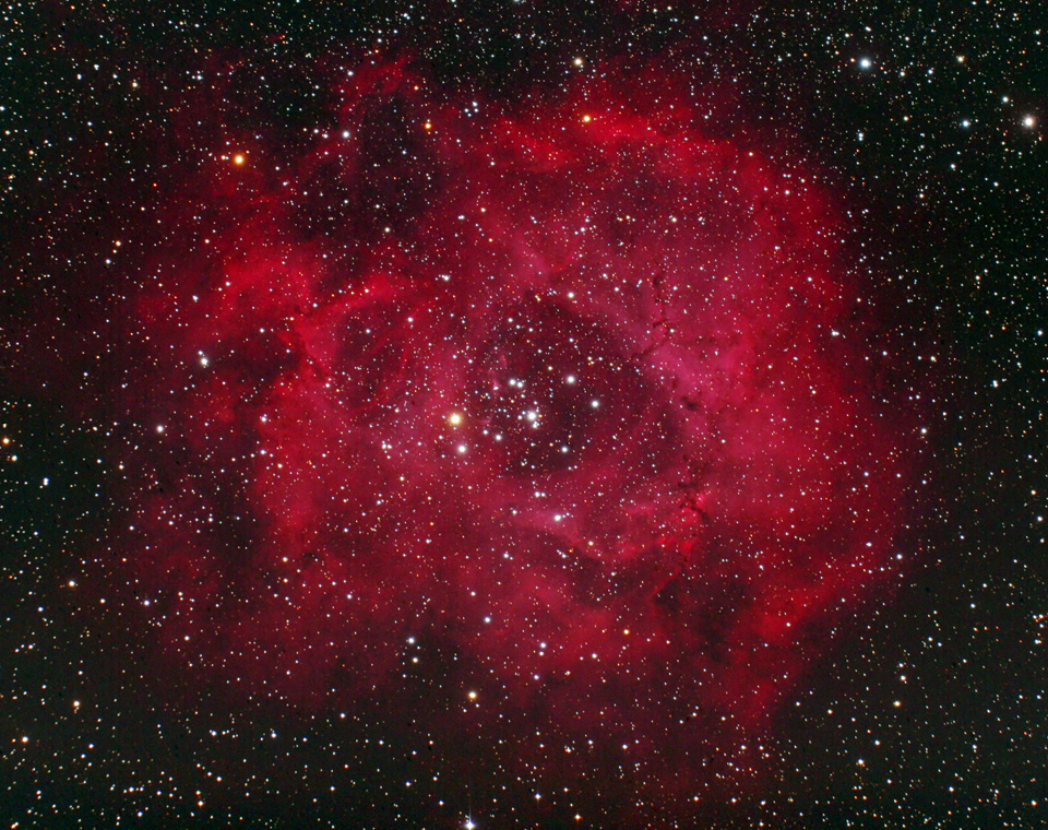 Rosette