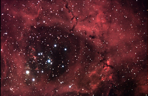 Heart of the Rosette