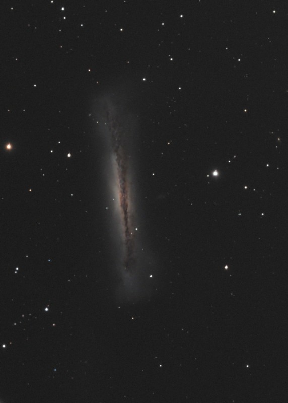 NGC 3628 image