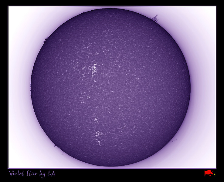 Violet Star
