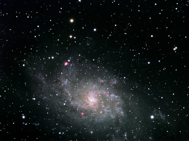 M33