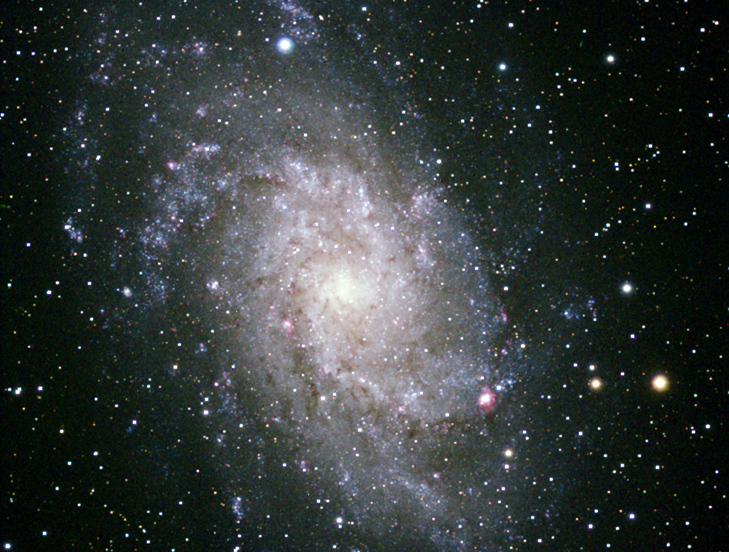 M33