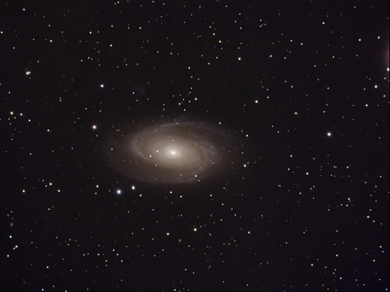 M81
