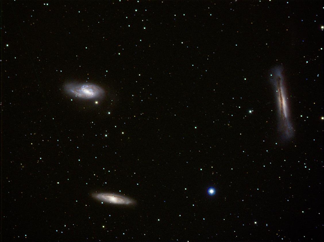 Leo Trio