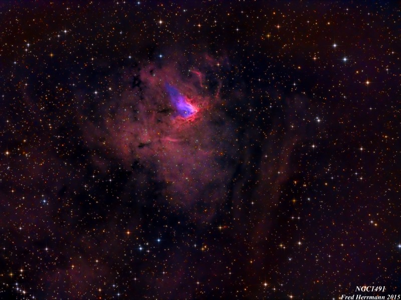 NGC1491