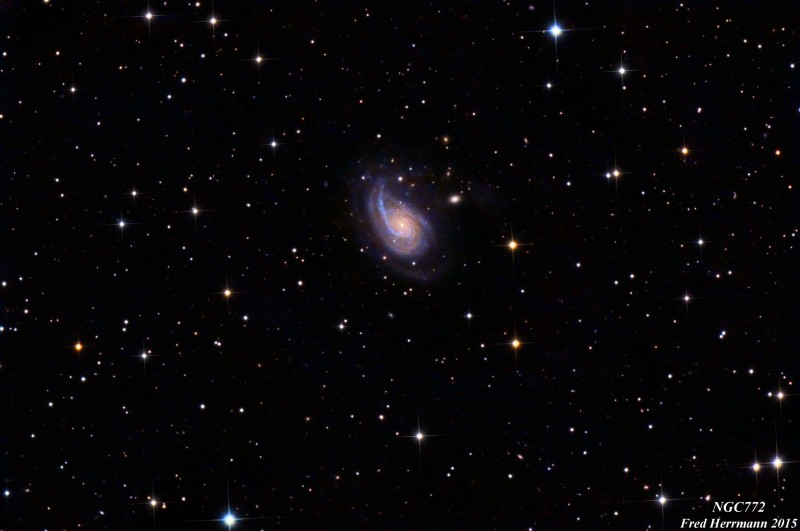 A Peculiar Galaxy NGC772
