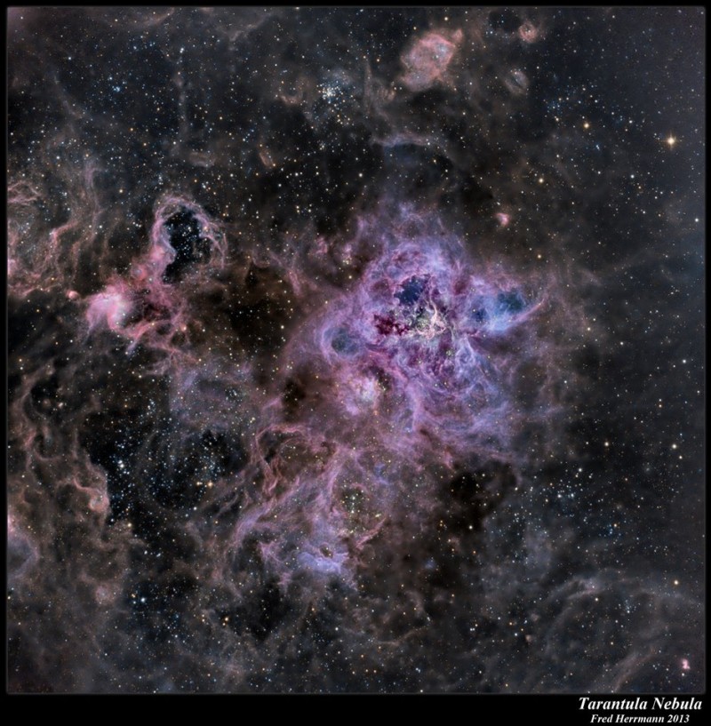 The Tarantula