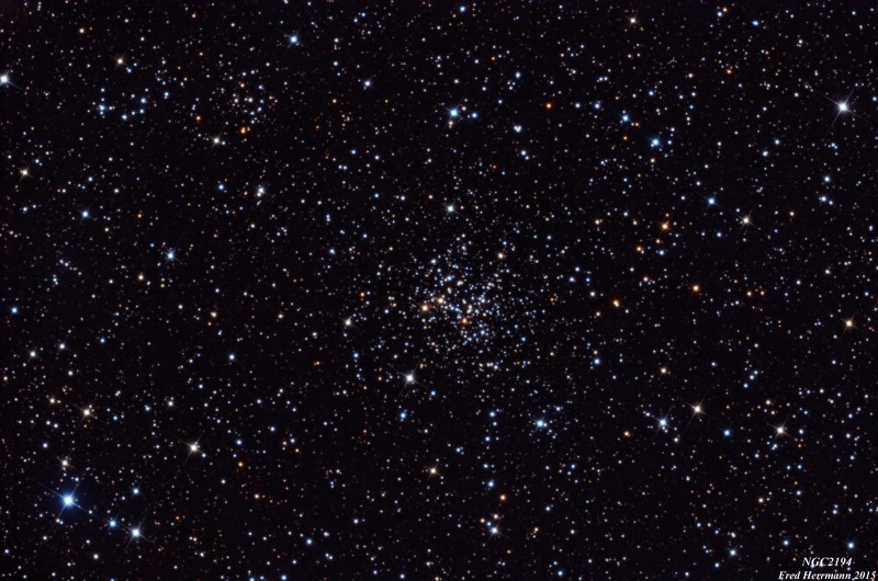 Open Cluster NGC2194