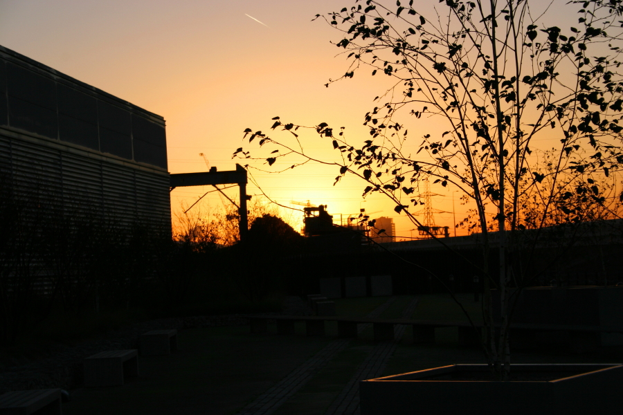 Central London at Sunrise