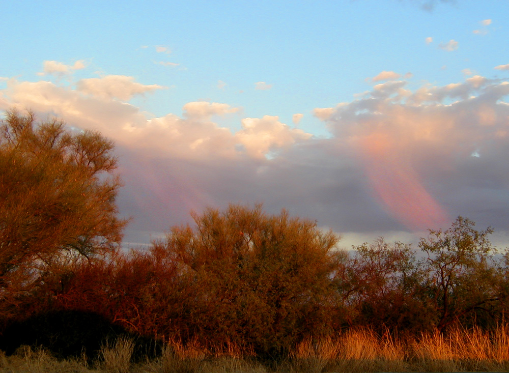 Virtuous Virga