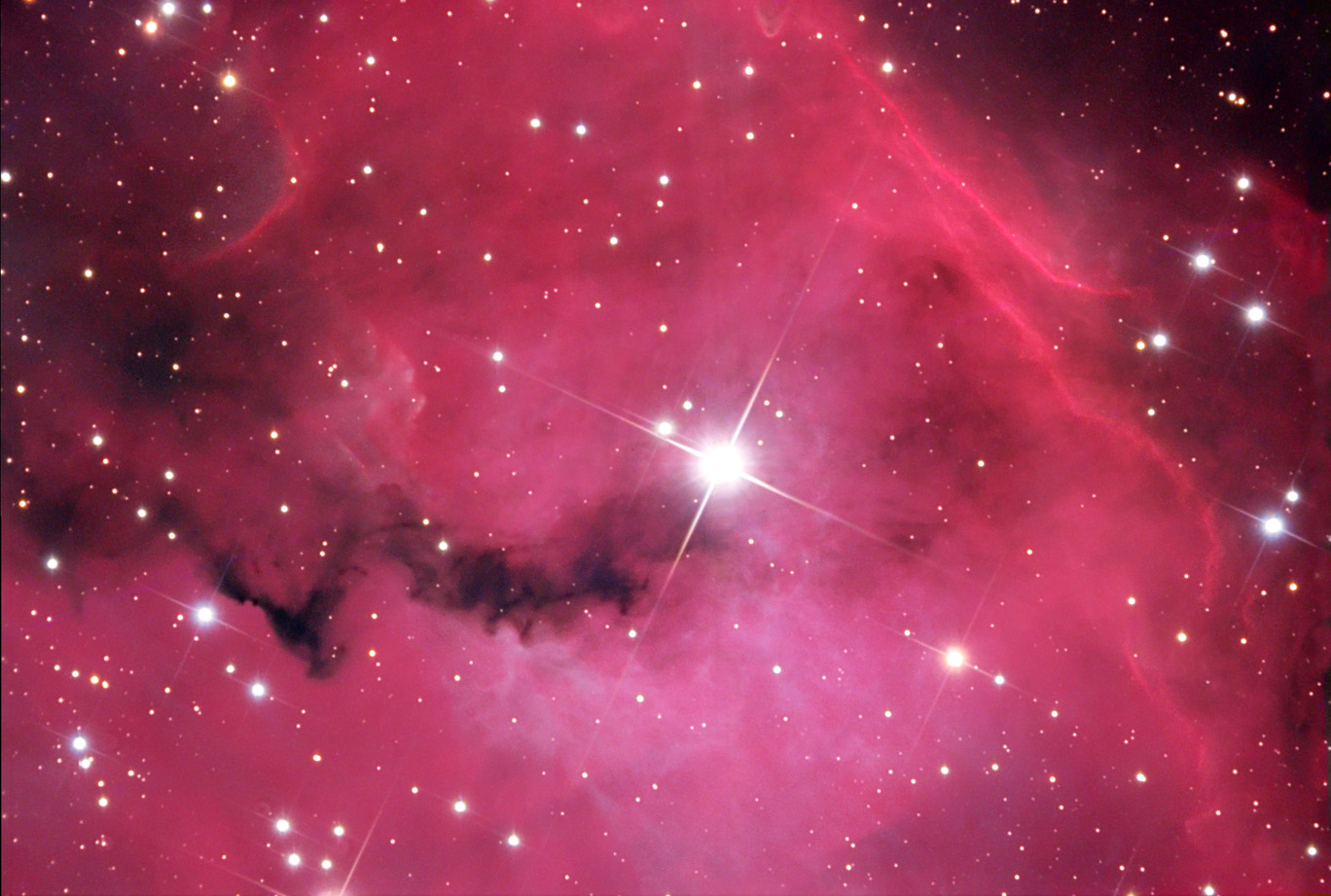 VdB93: Head of the Seagull Nebula