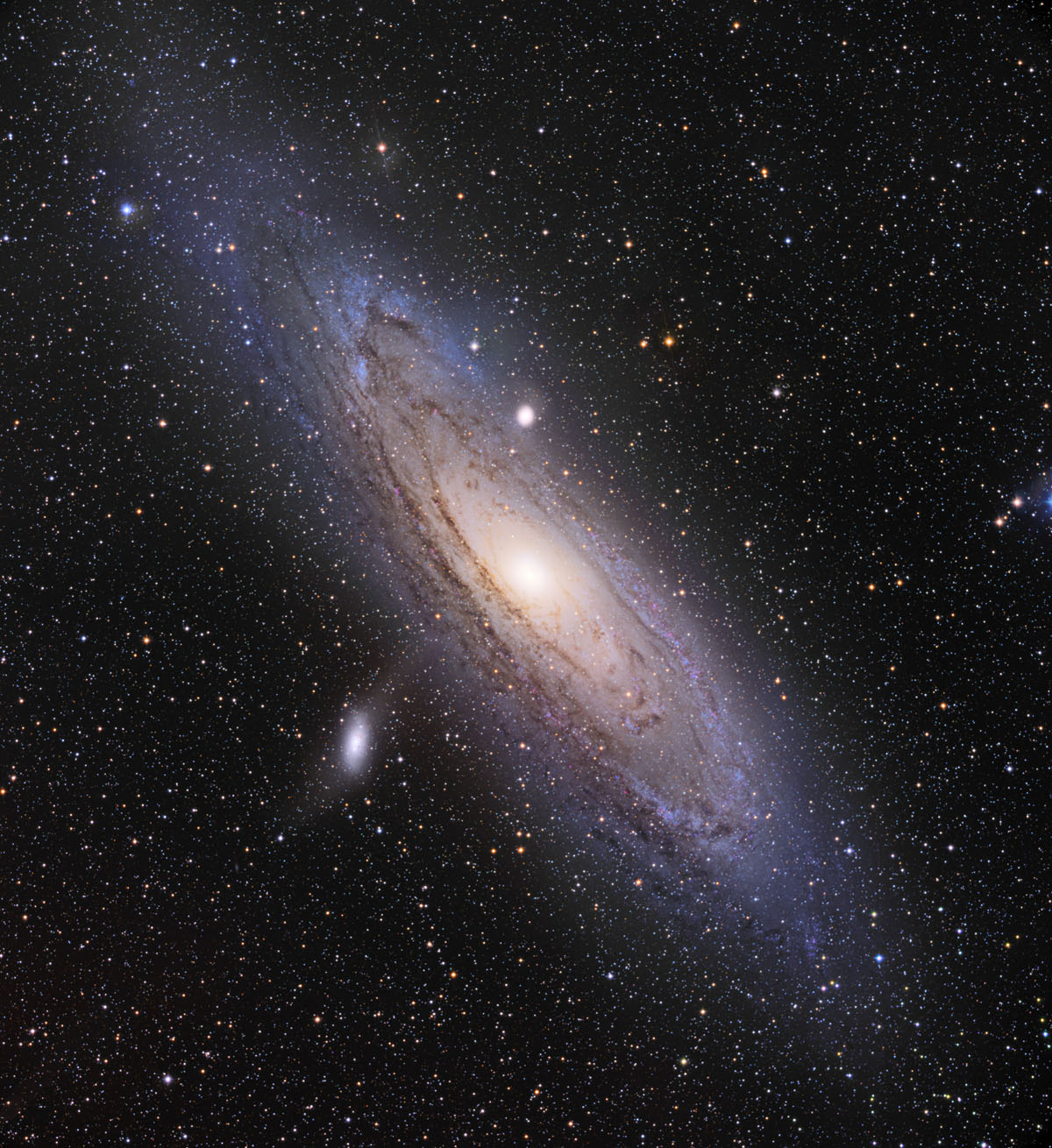 M31 in Color