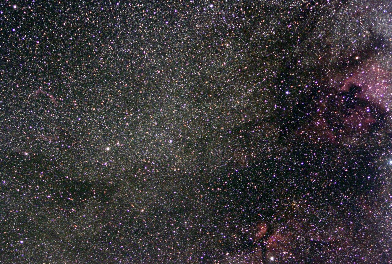 Nebulas in Swan