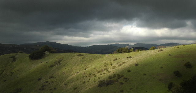 My backyard ridge