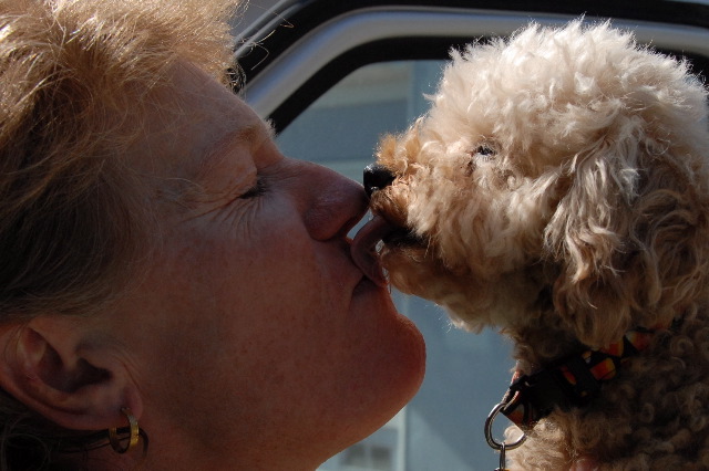 Wet Kiss