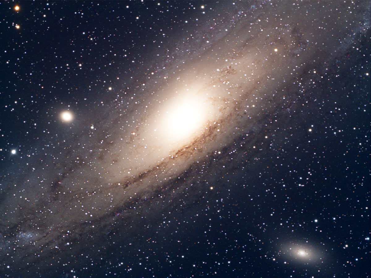 M31 and Neighbors