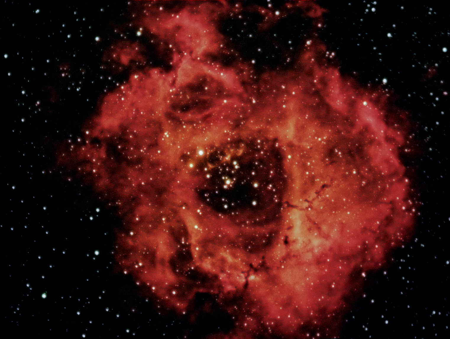 Rosette Nebula image