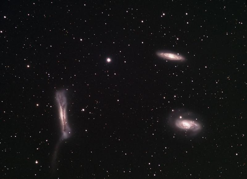 Leo Triplet image