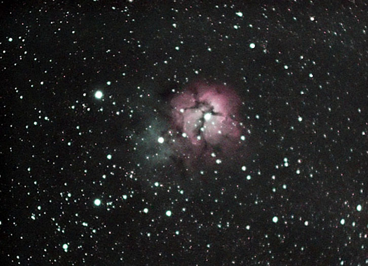 Trifid