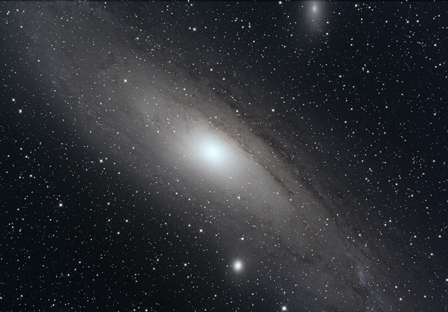 M31