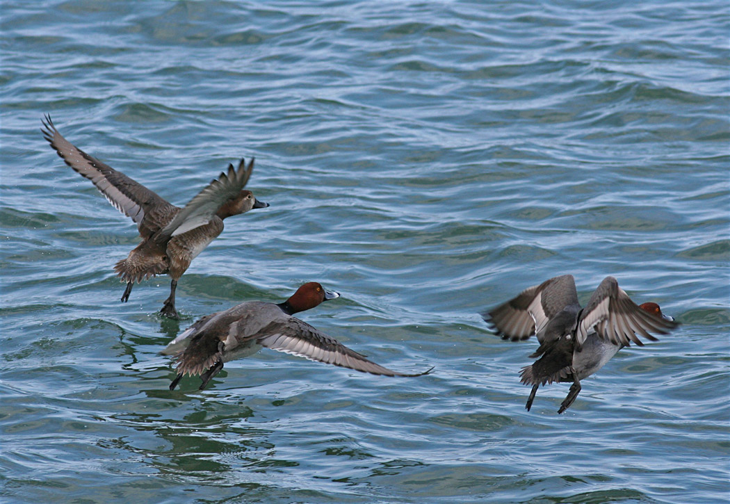 More takeoffs
