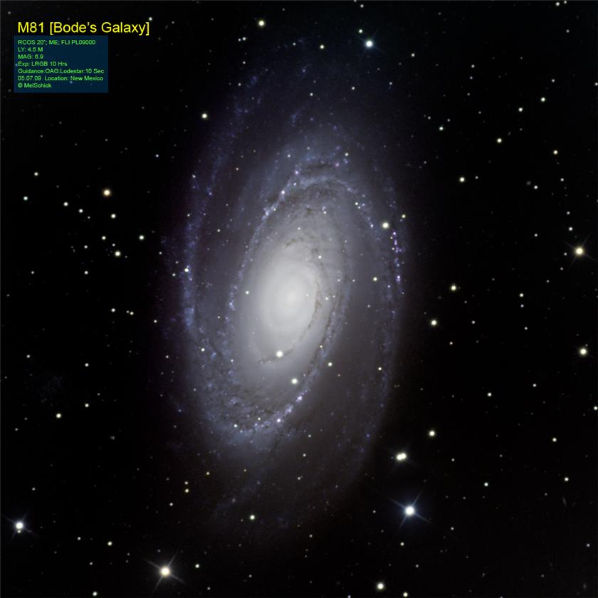 M81