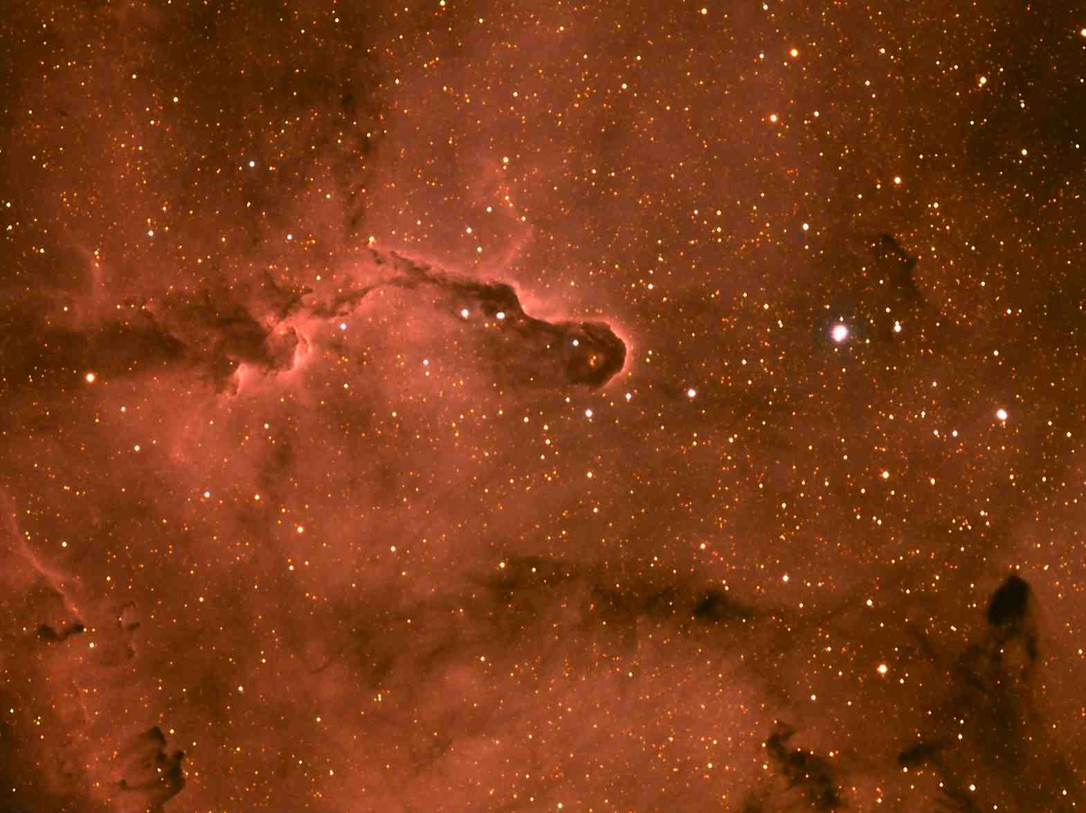 IC 1396