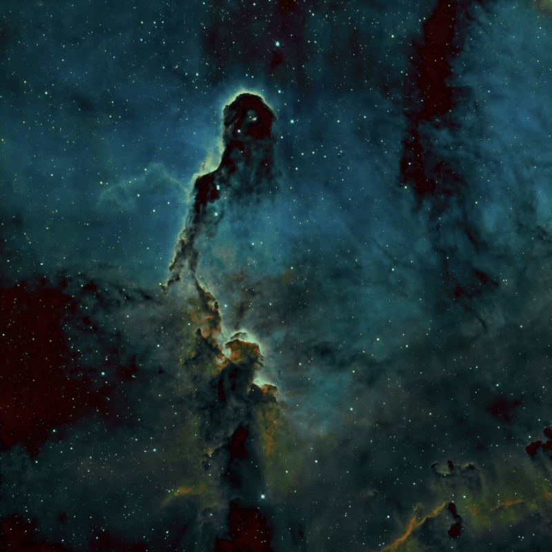 IC 1396 The Elephant’s Trunk image
