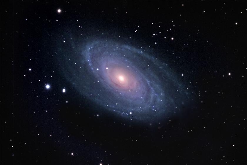 M81